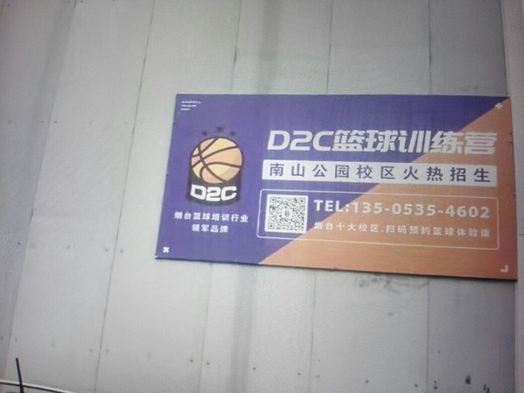 芝罘区篮球训练营在哪